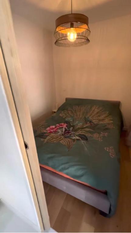 וויריר-דו-לאק Superbe Appartement Entre Lac Et Montagne. מראה חיצוני תמונה